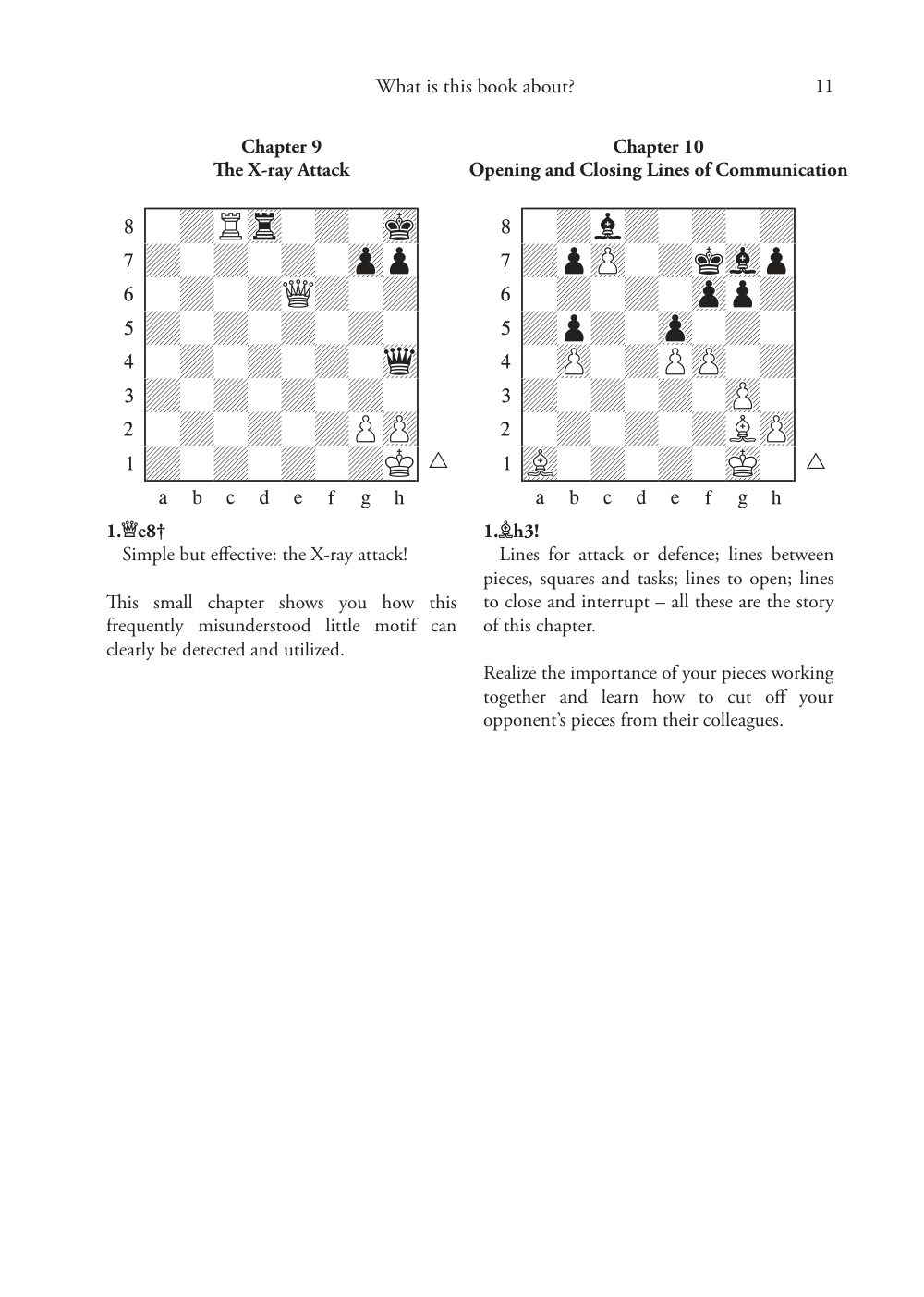 Sample page 7
