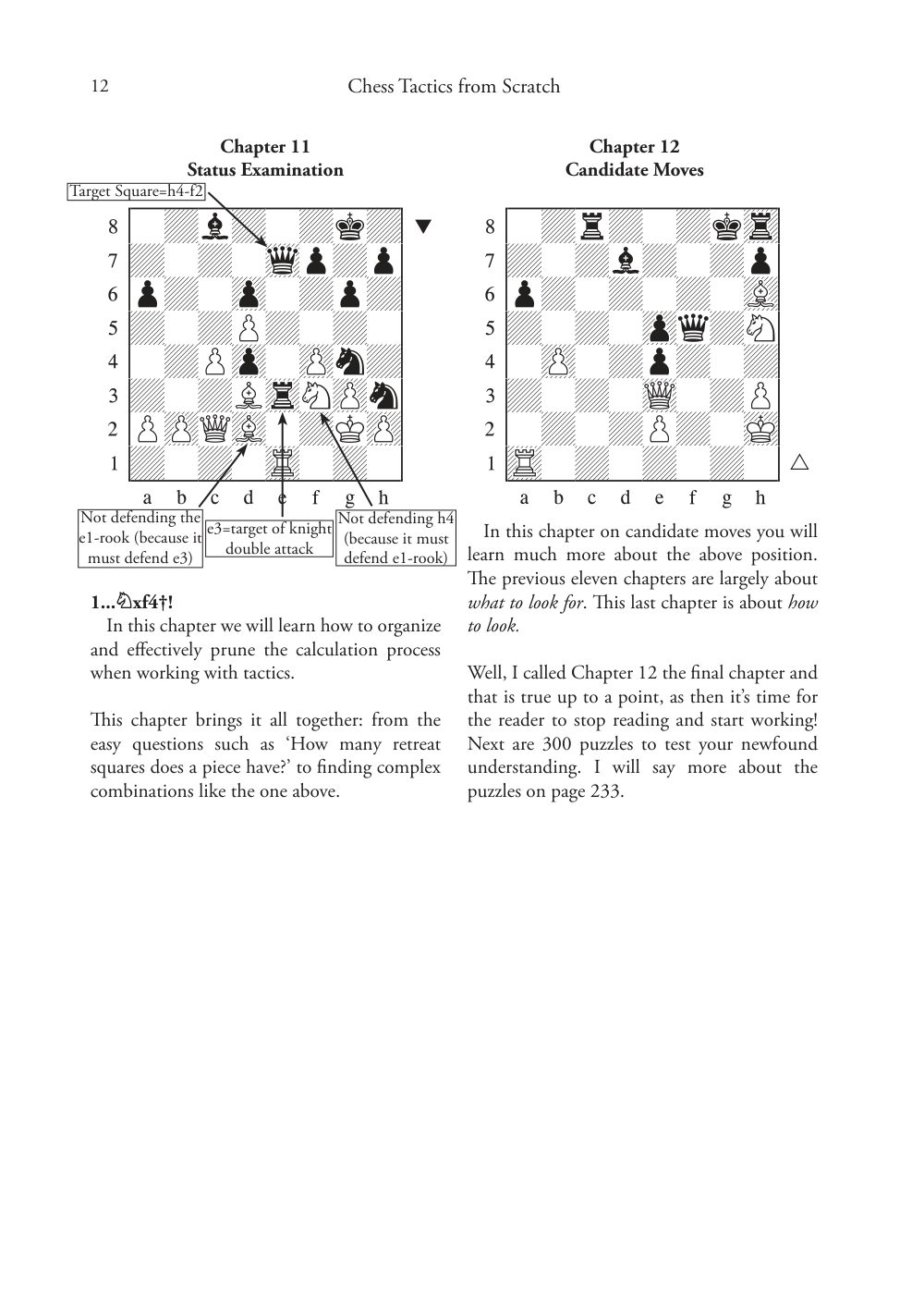 Sample page 8
