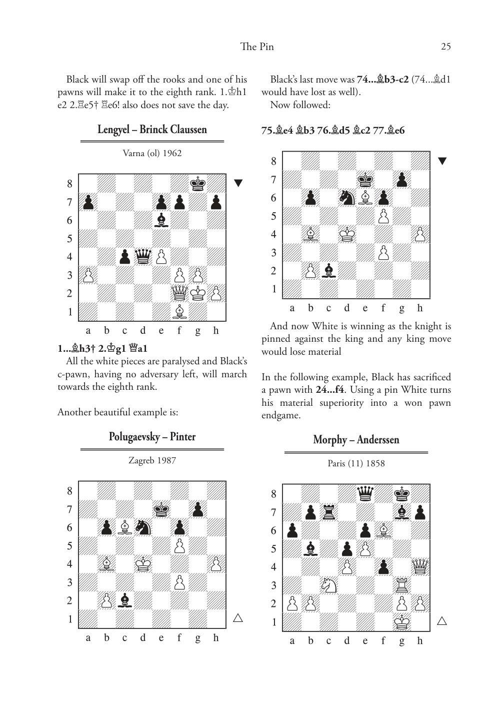 Sample page 11