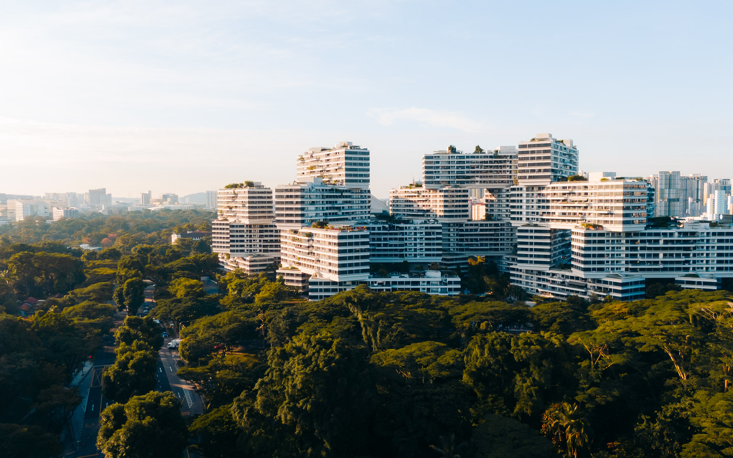 DJI_0441.jpg