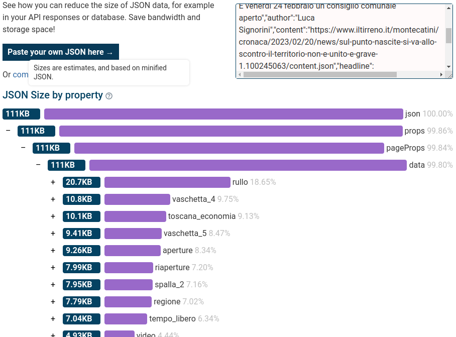 JSON Size Analyzer on iltirreno.it/versilia