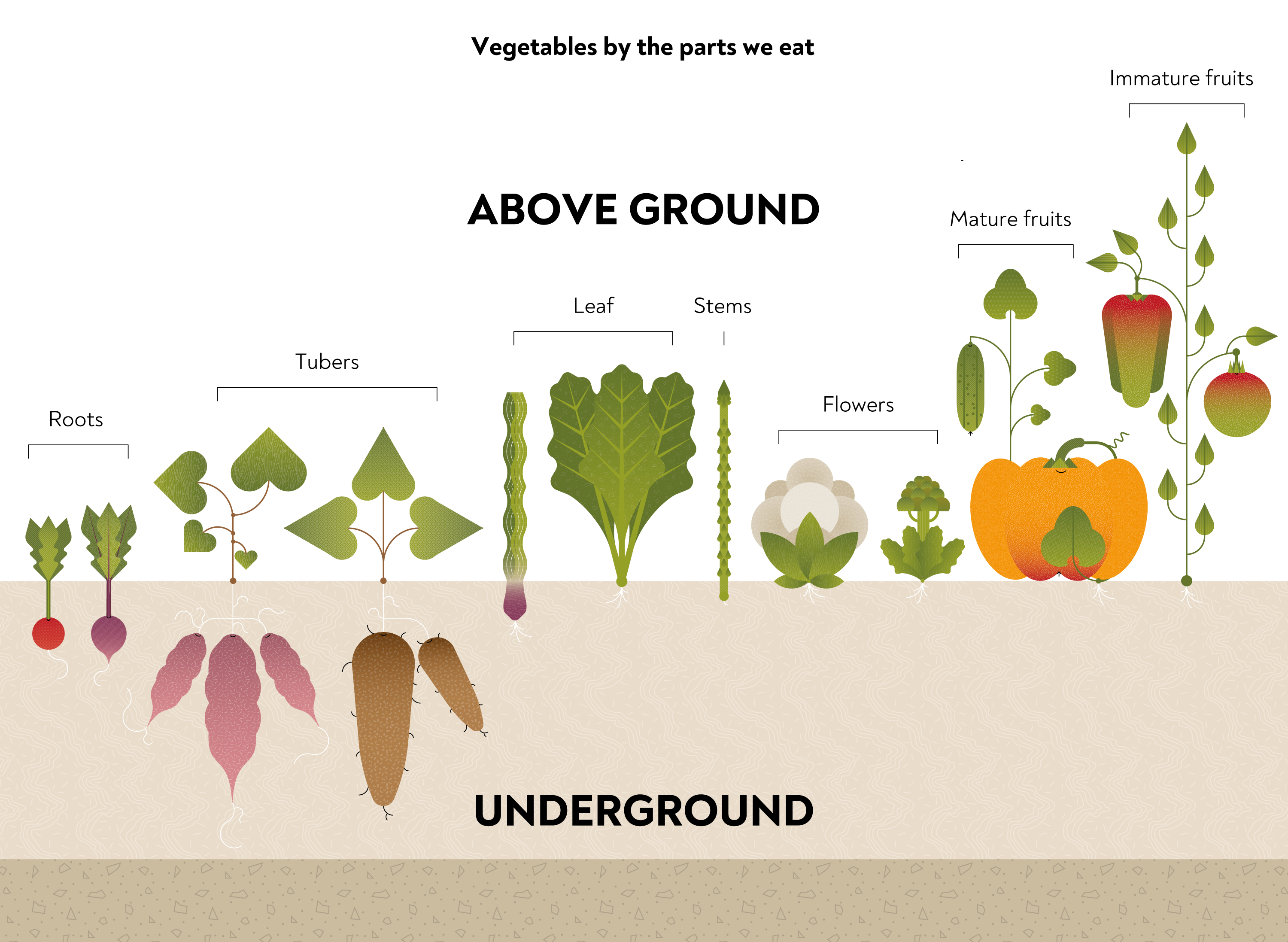 Vegetables, Chronicle Books