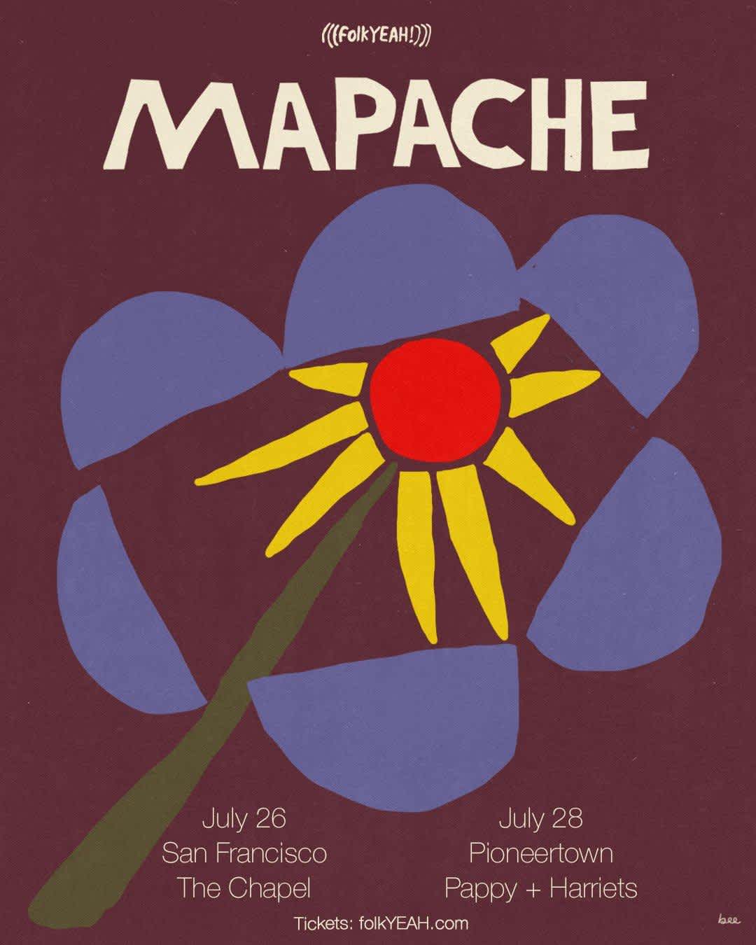 Mapache Poster