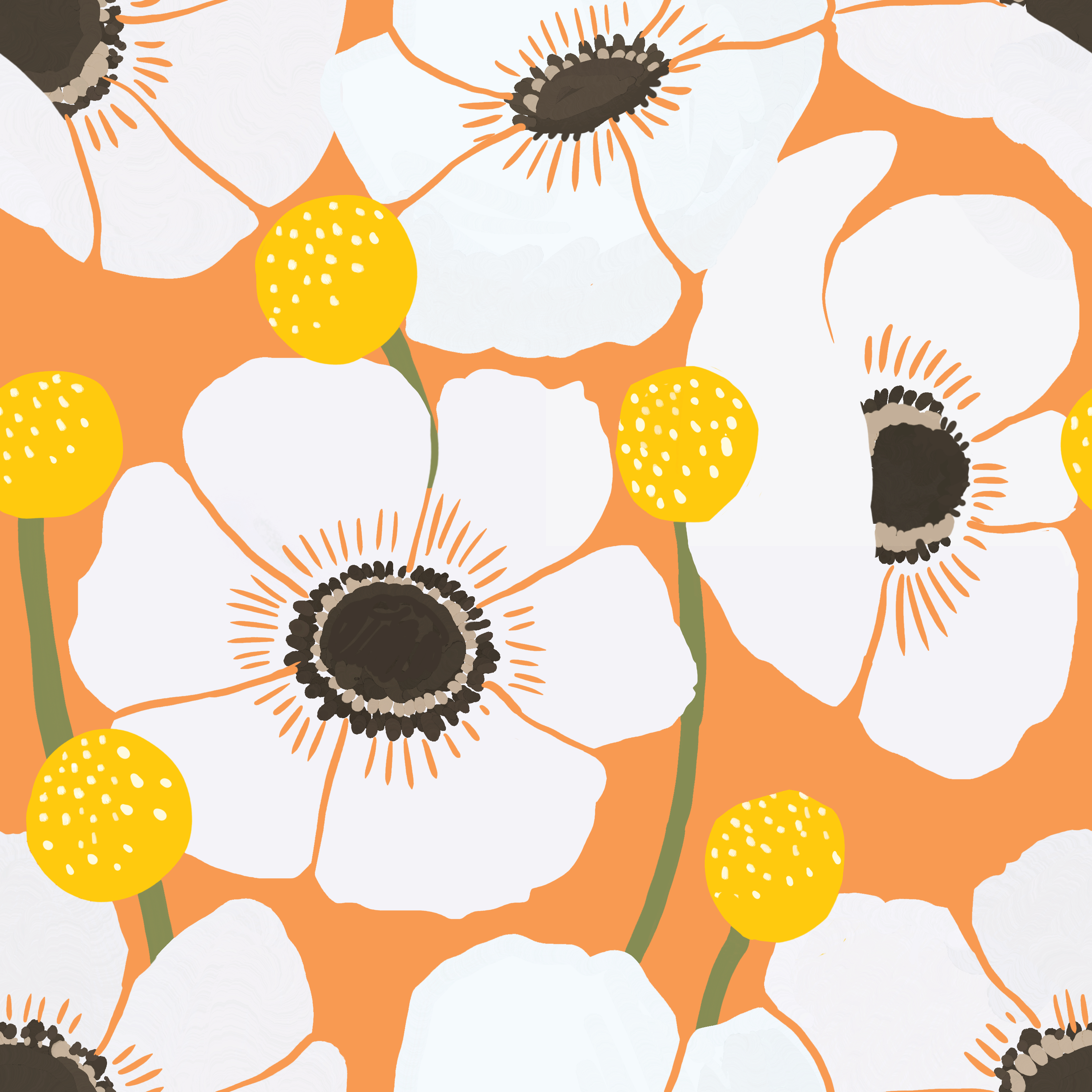 MODERN ANEMONE
