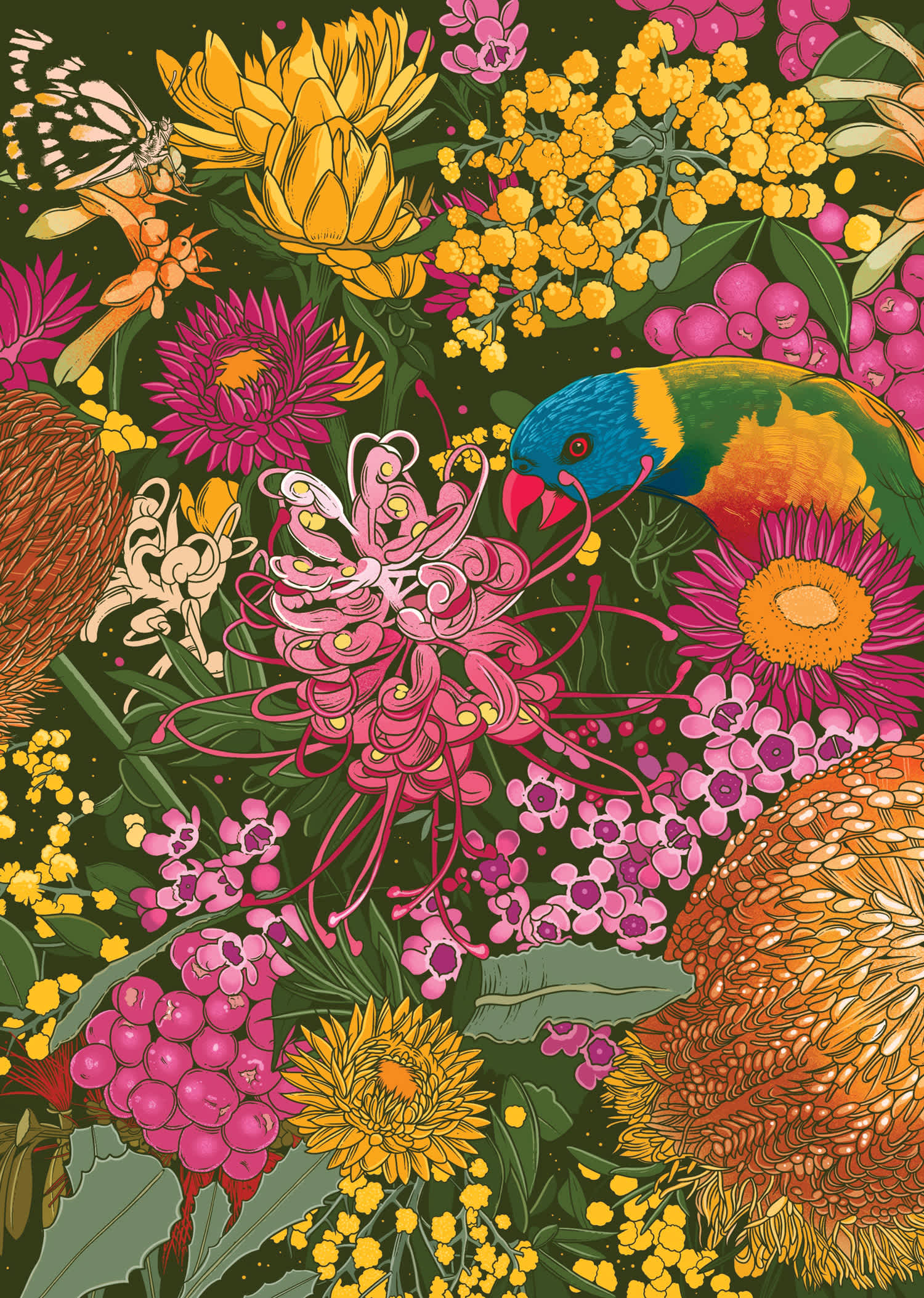 100 Australian Wildflowers