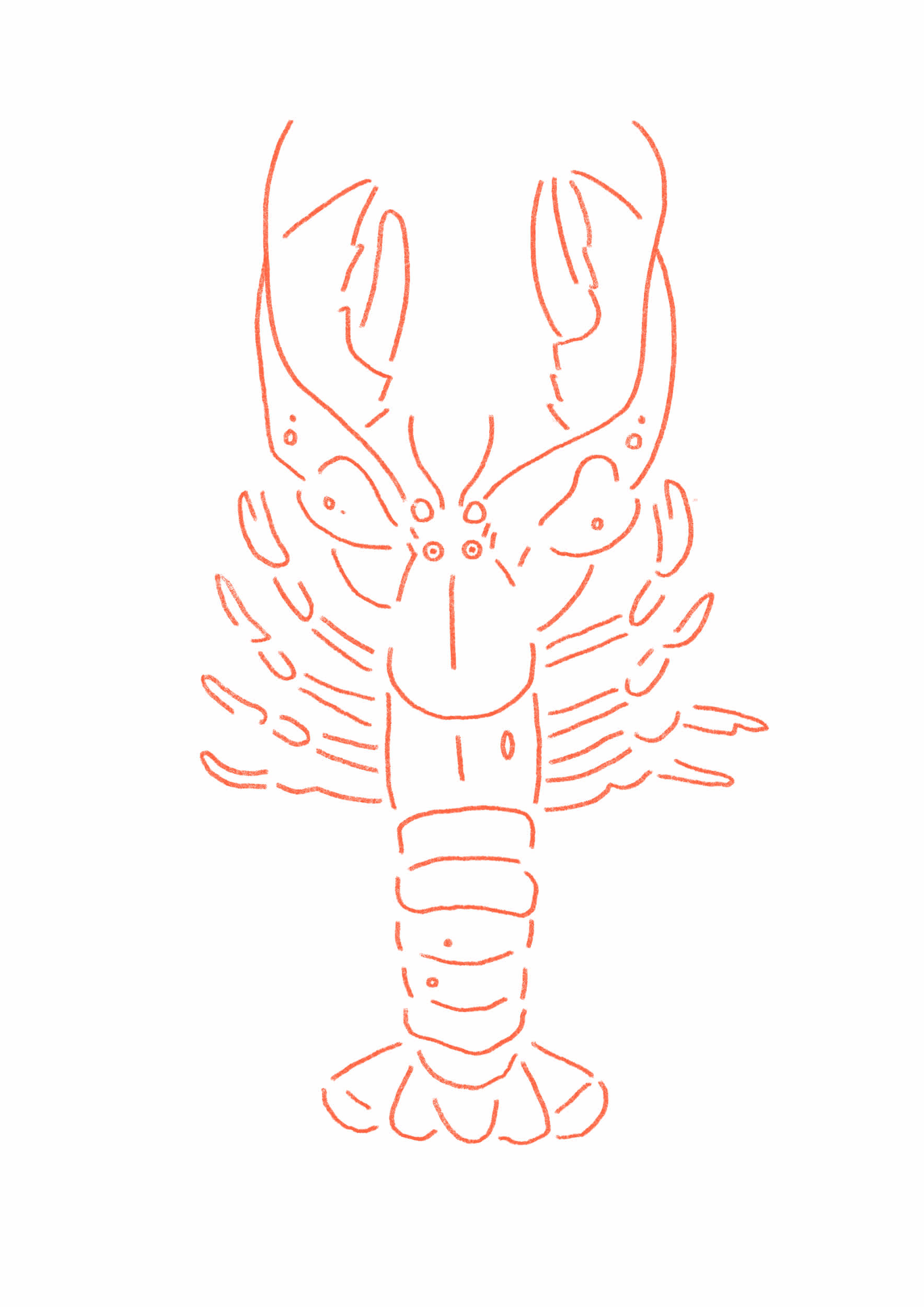 Lobster