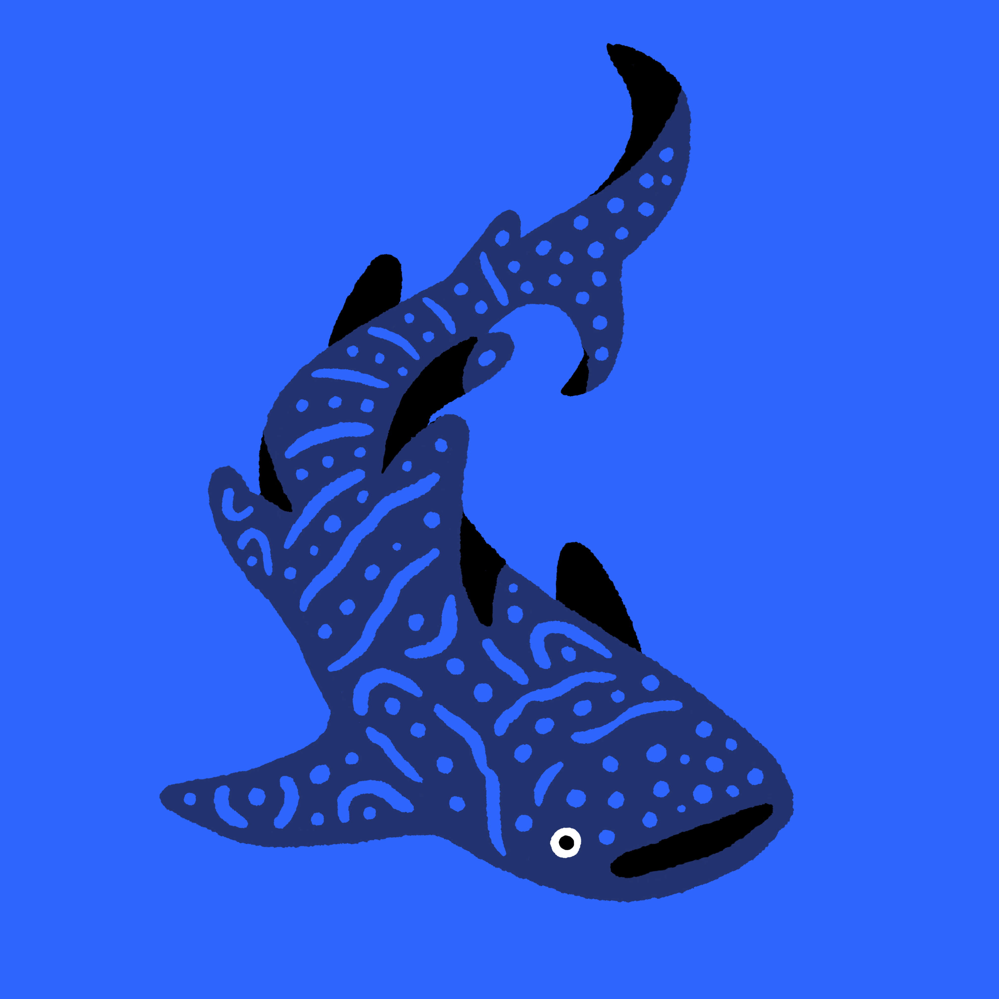 Whale Shark