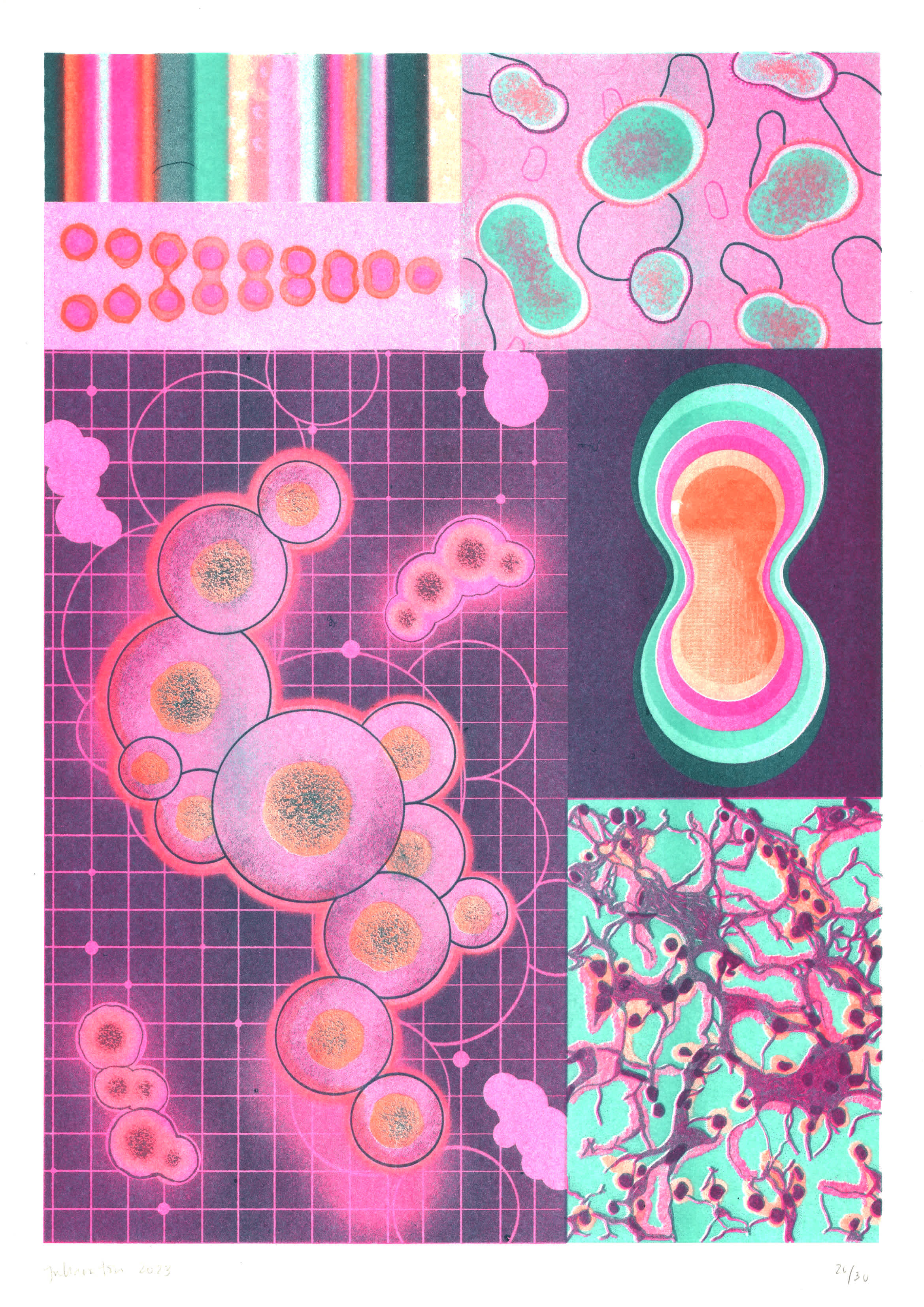 Cosmic Insignificance: Cells