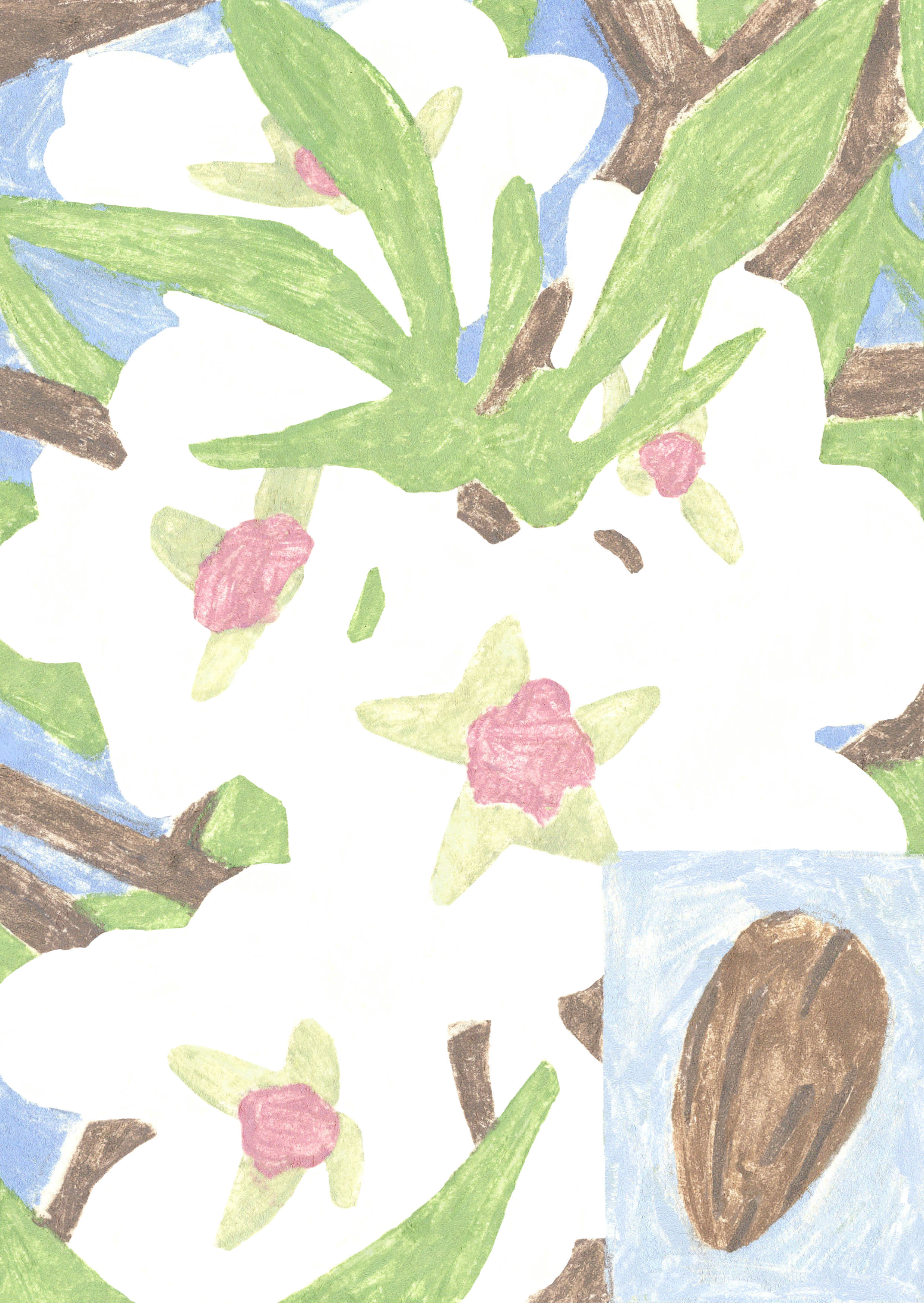 Native flowers and Pollinators