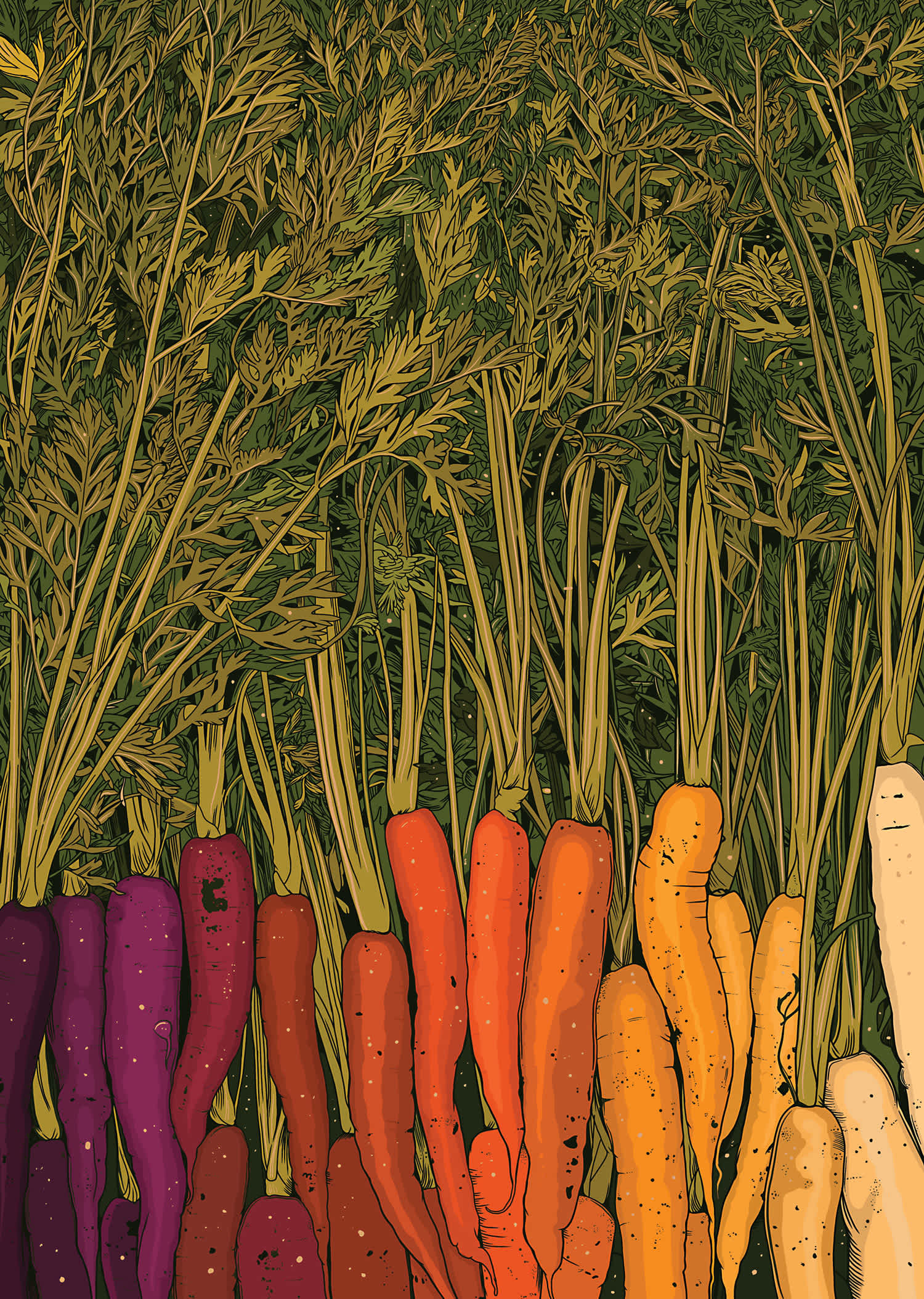 Rainbow Carrots