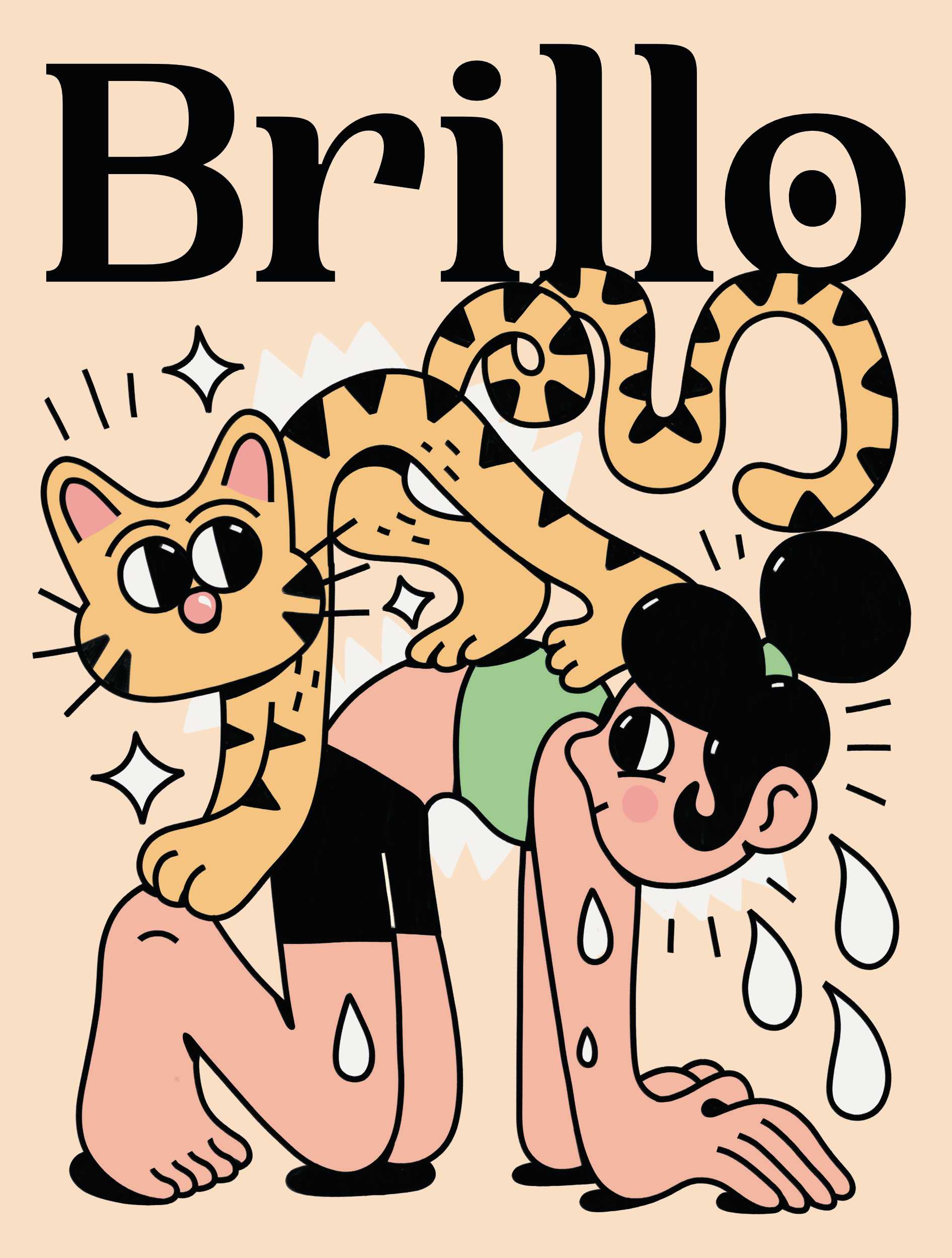 Brillo Cover
