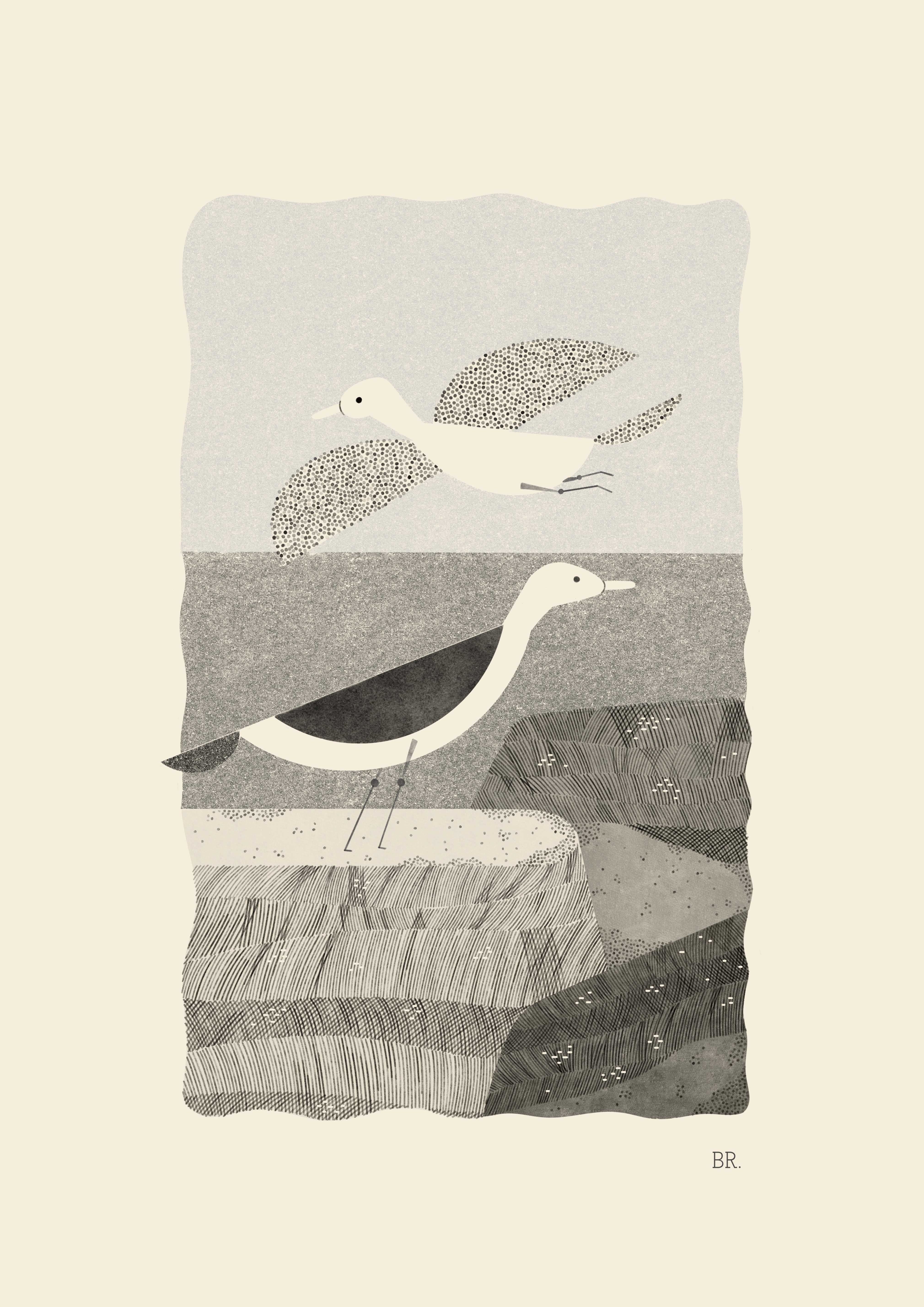 Cliffs