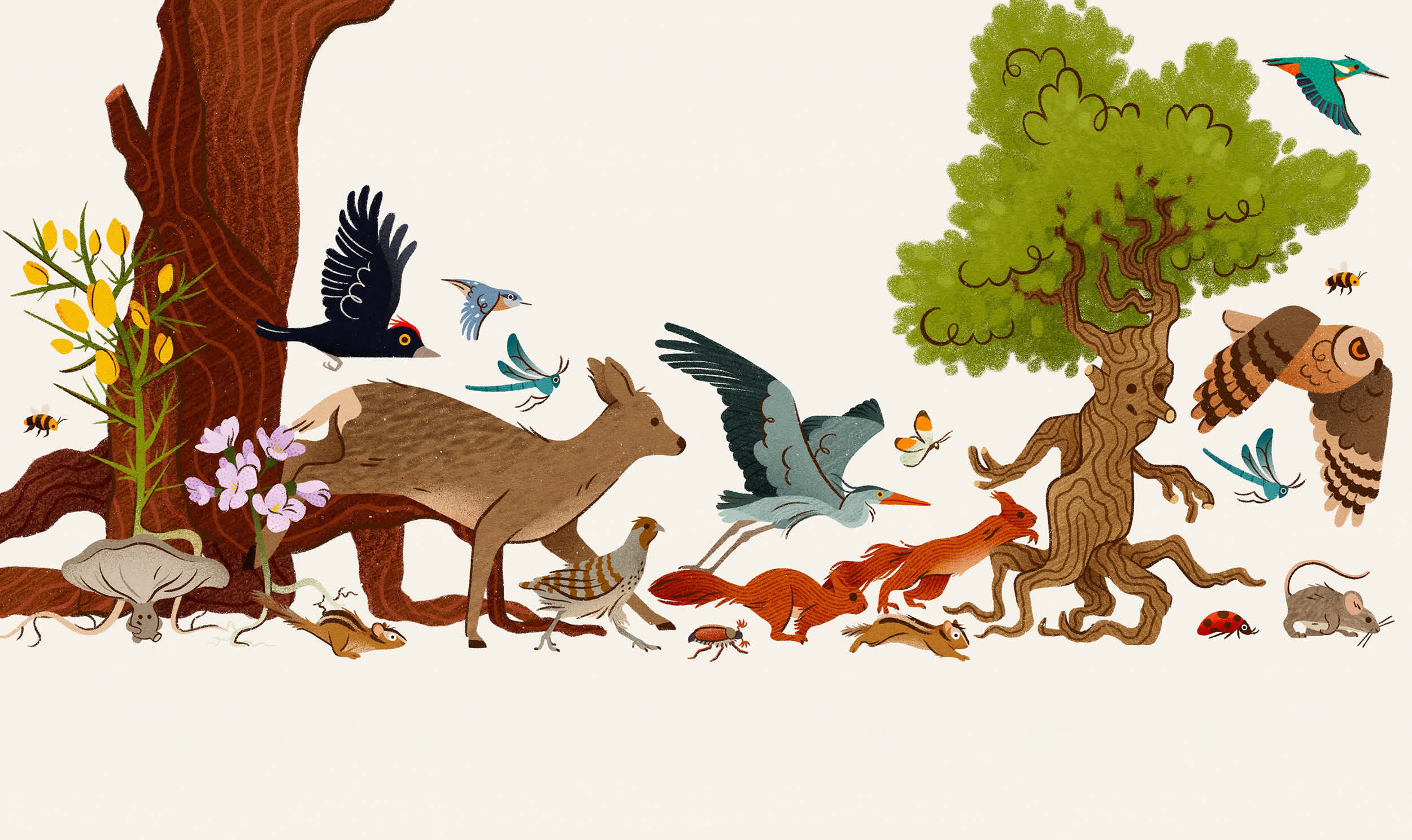 De Boom die het Bos wilde zien