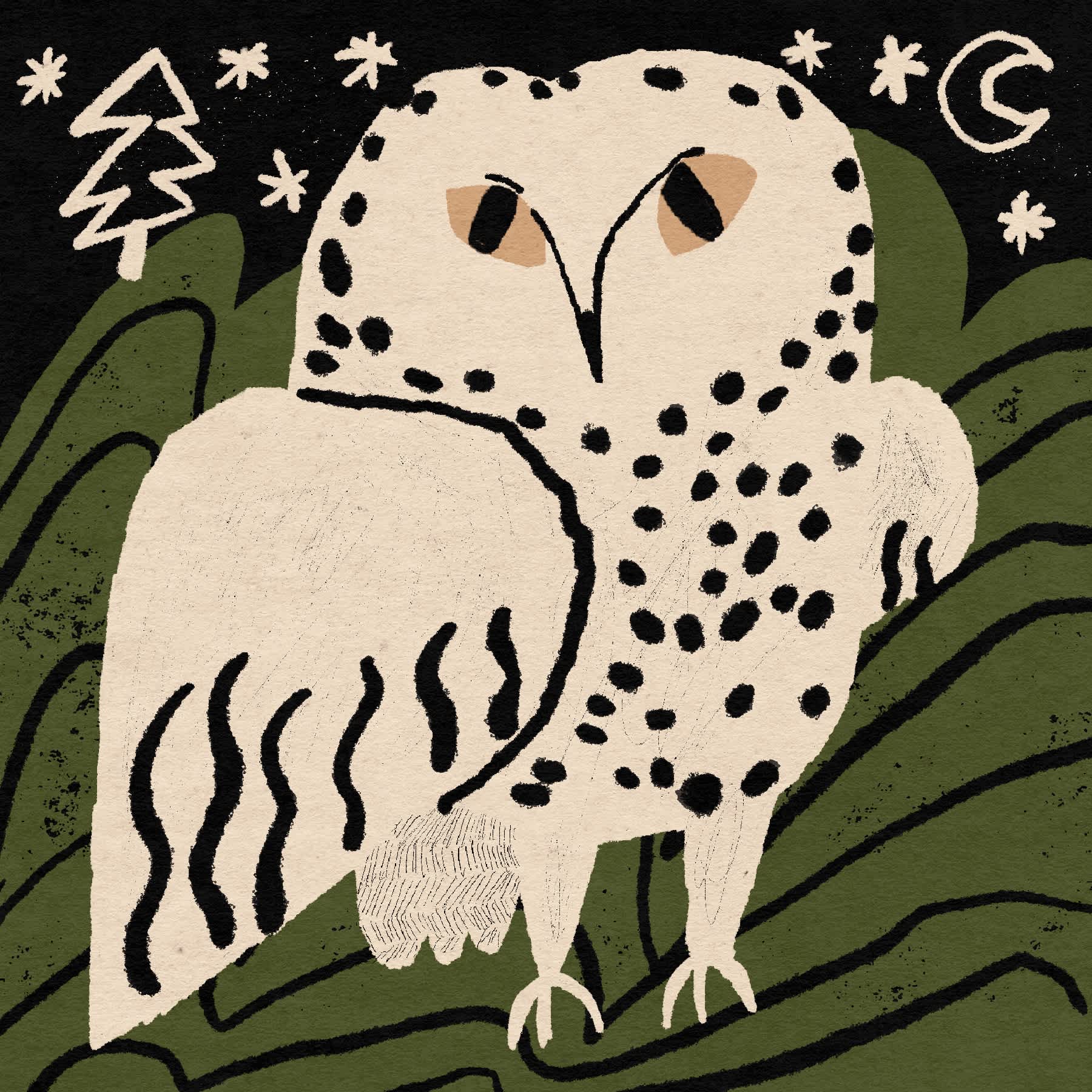 Owl