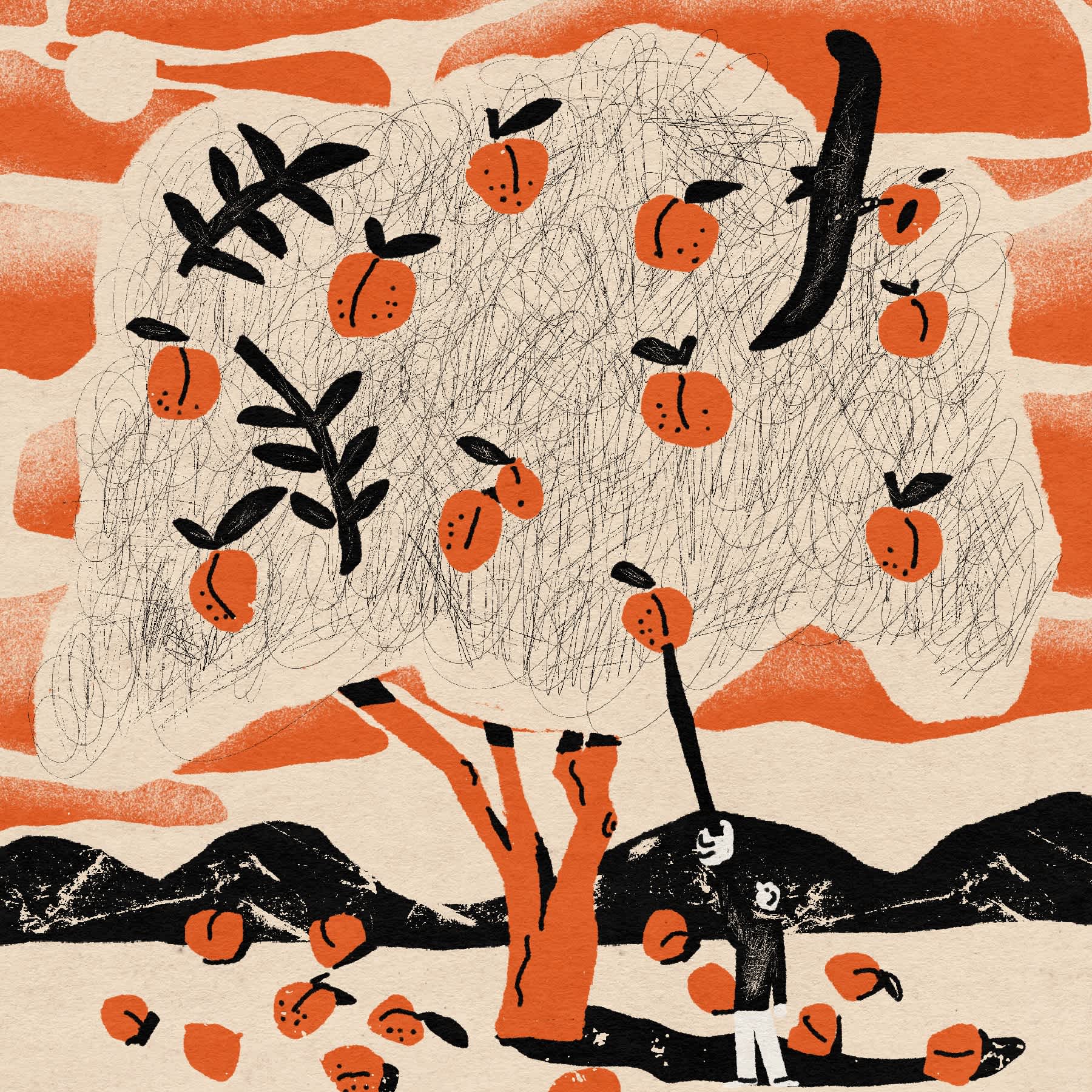 Apricot tree