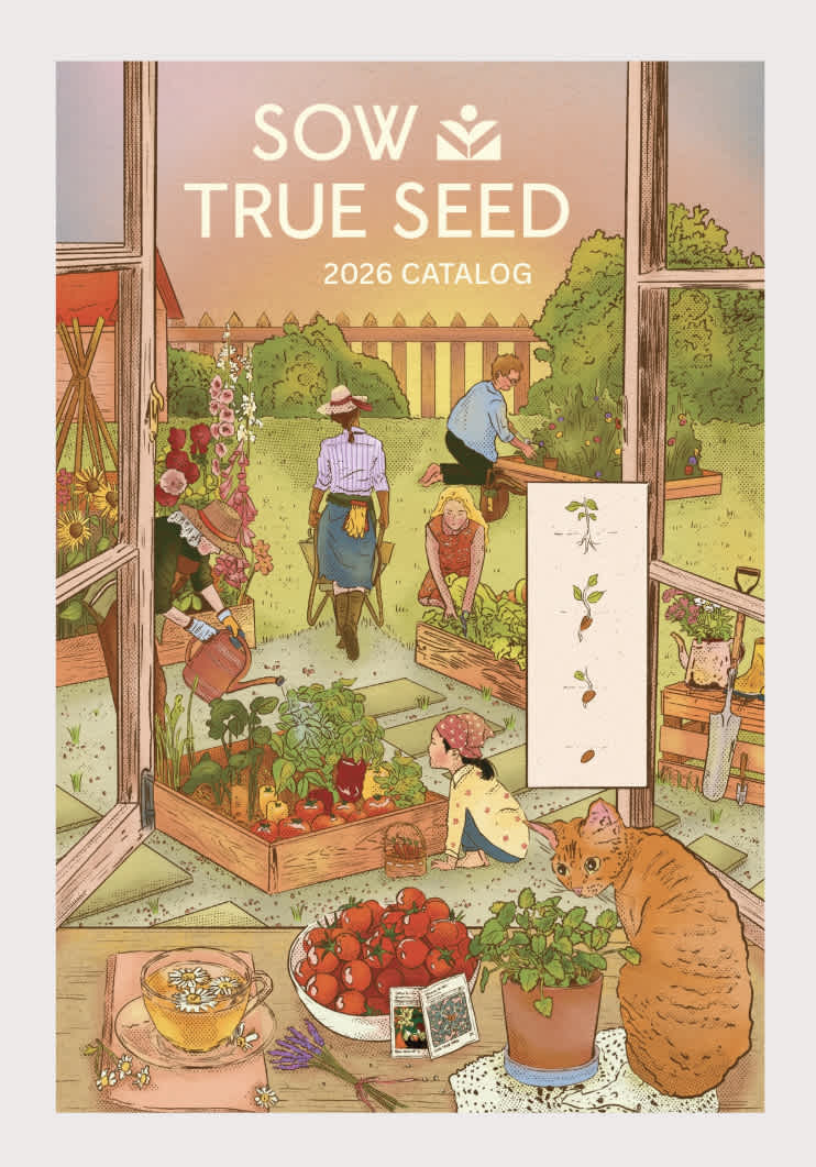 Catalog Cover Artist Collab