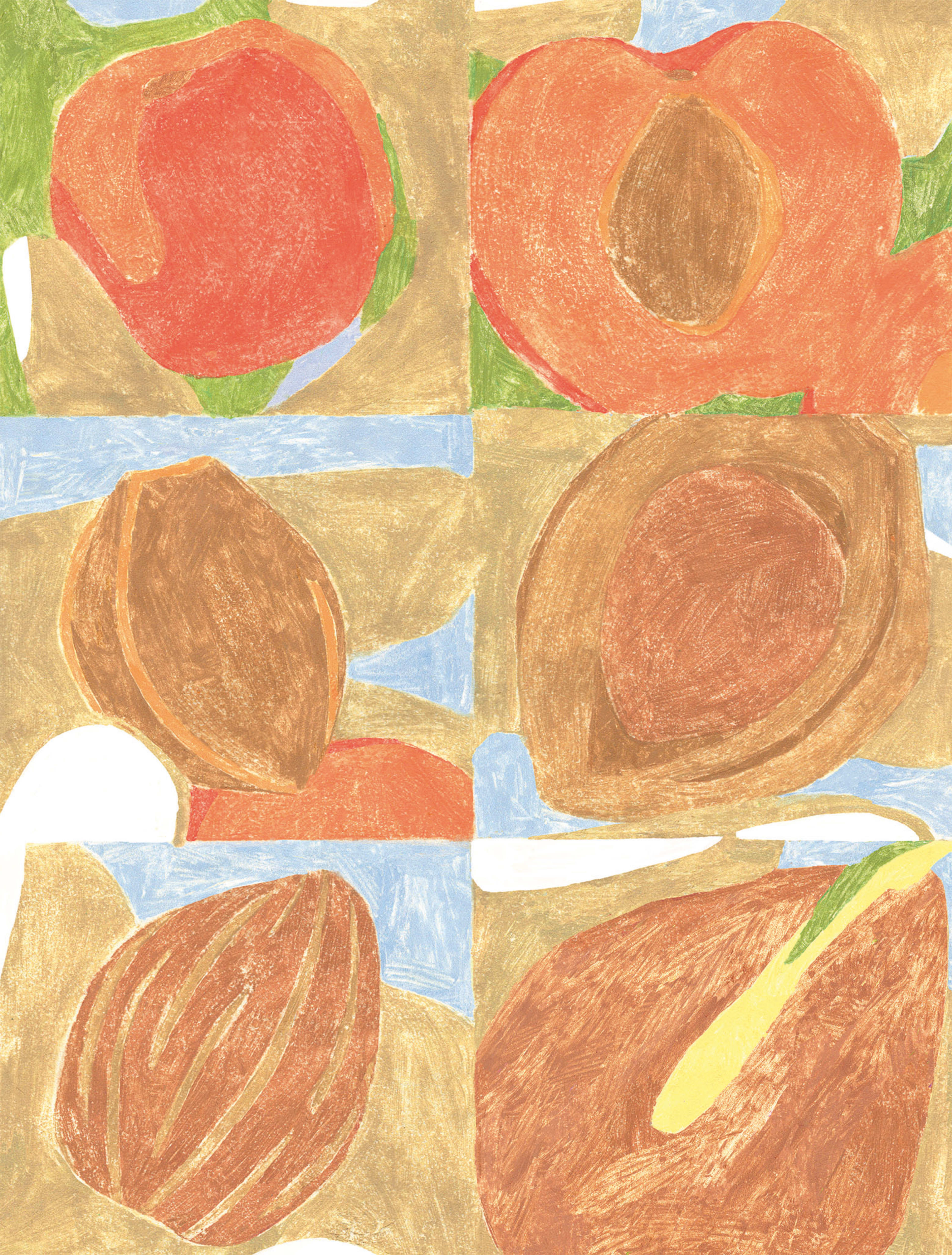 Apricots and Seeds