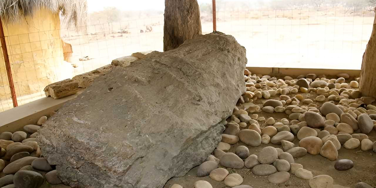 Wildlife at Akal Fossil Park