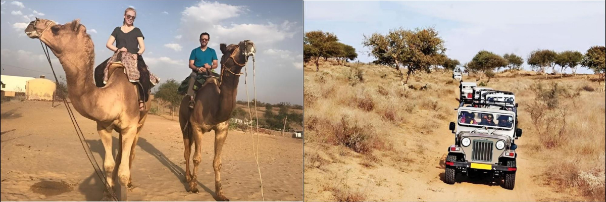 Bishnoi Village Camel Jeep Safari