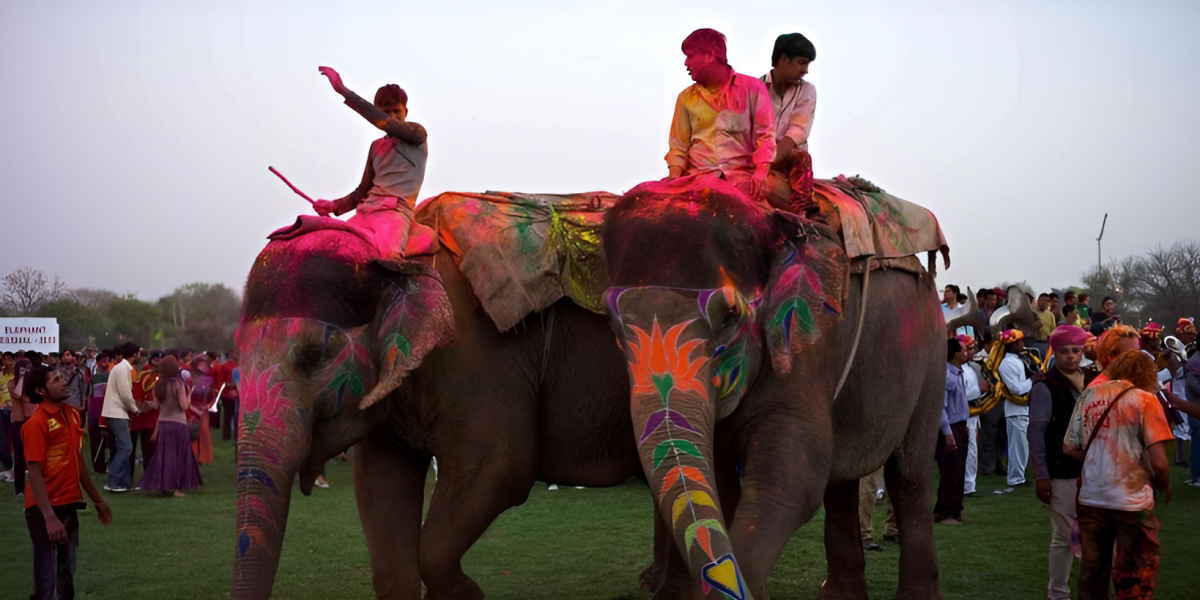 Famous destinations to celebrate Holi in Rajasthan 2025-26 Best Holi Places in Rajasthan
