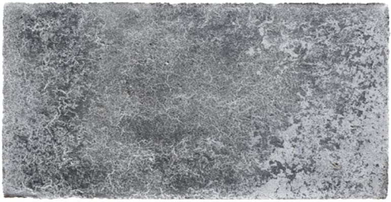 Concrete Organism, a 2013 spray paint and concrete work on canvas by Jacob Giberson.