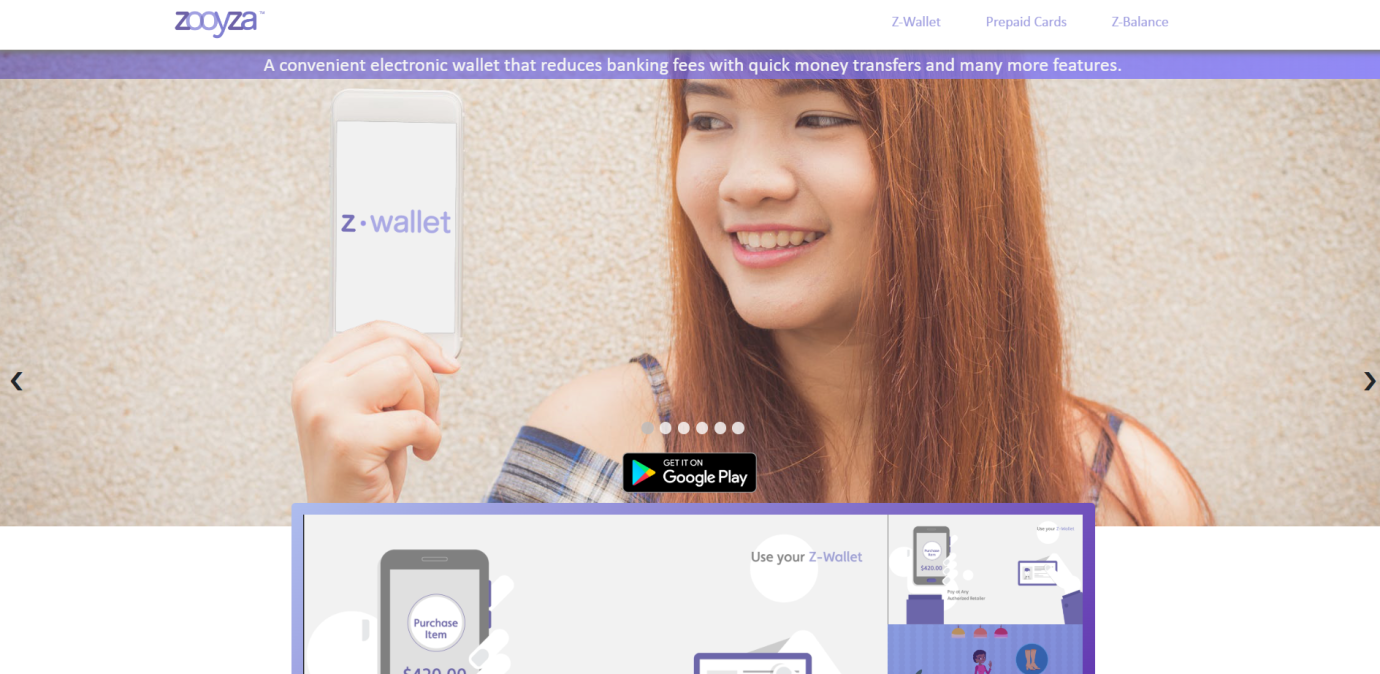 Zooyza Website Before