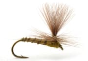 Umpqua Biot Dun Medium Olive