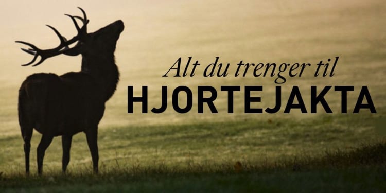 Har du alt du trenger til hjortejakta?