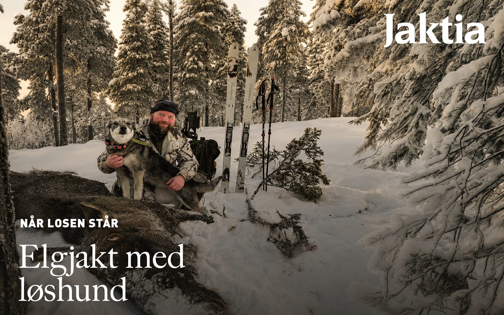 Når losen står