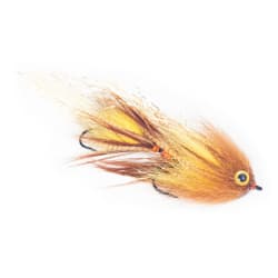 Guideline Swim Coach Baby Craven Brn/Yel #4 X#6