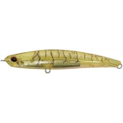 DUO Bayruf Seek 68HW Prawn OB CCC3559