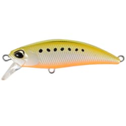 DUO Tetra Works Toto 48HS AST0333 Golden Sardine