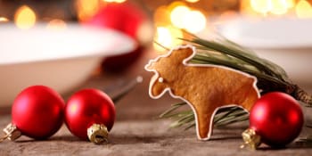 Vårt ville julebord!