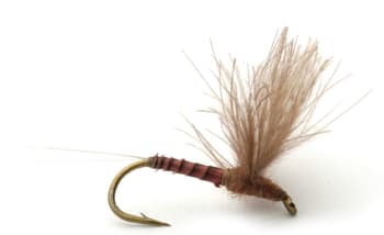 Umpqua CDC Biot Comparadun Quill G