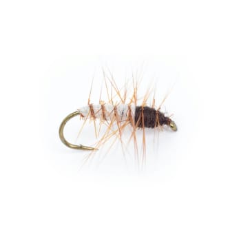 Umpqua Superpuppan Cream/Brown