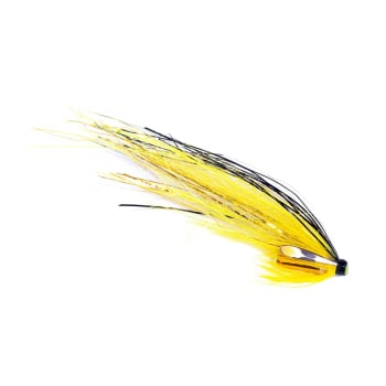 Guideline SG's Black & Yellow Flashwing