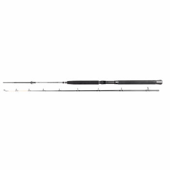 Daiwa Seahunter Trolling