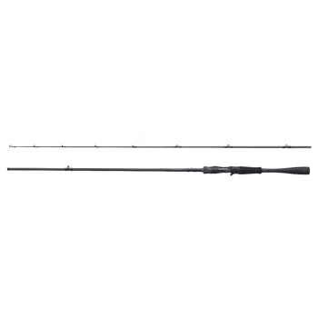 Shimano 26 Zodias Casting