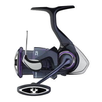 Daiwa 25 Prorex V LT