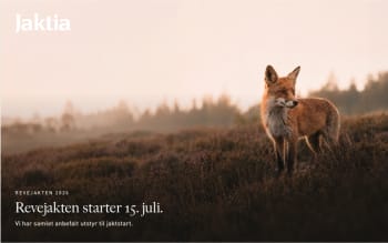 Revejaktstart 15 juli