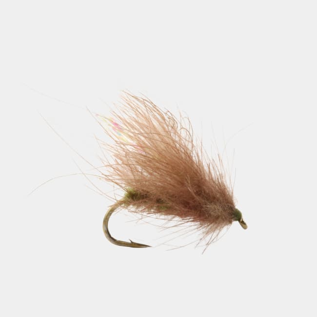 Umpqua Kronen CDC Caddis Oliven