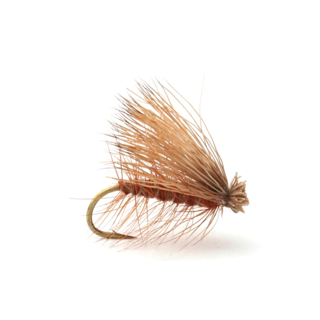 Umpqua Elk Caddis Brown