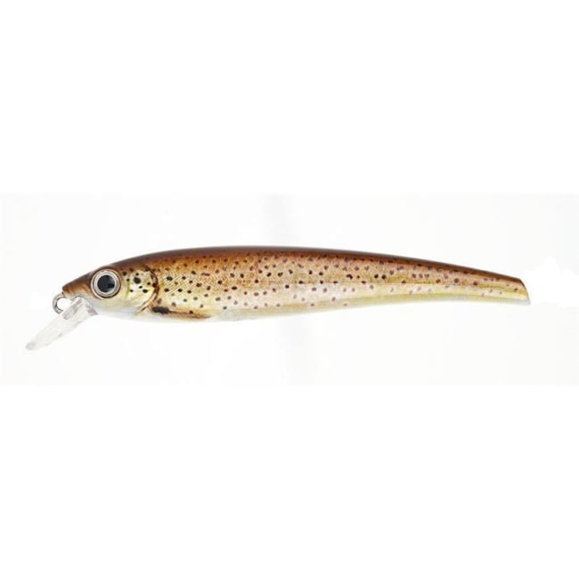 Prey Target  #415 Seatrout