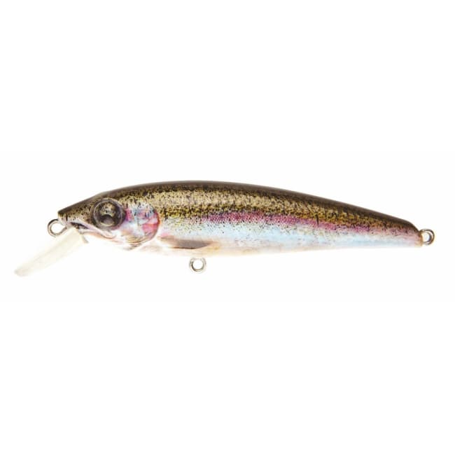 Prey Target  #432 Rainbow Trout