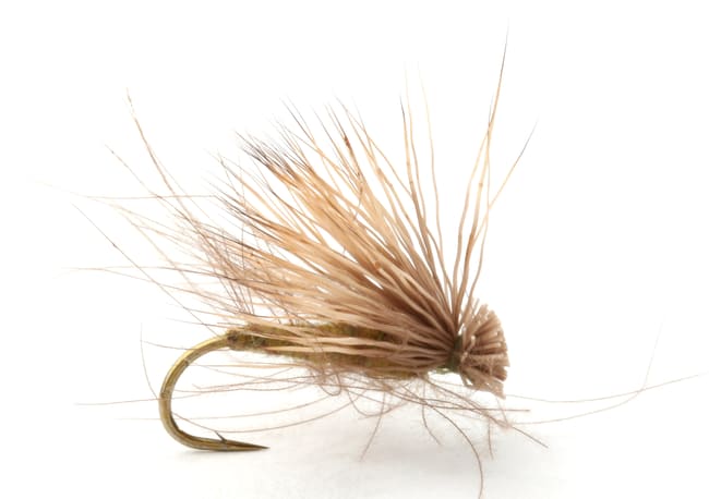 Umpqua CDC Elk Caddis Olive