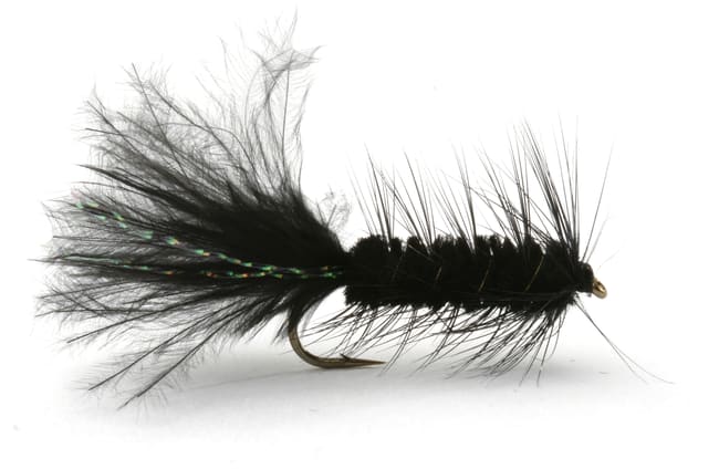 Umpqua Wooly Bugger Brown