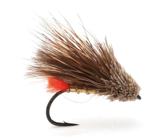 Umpqua Grøthemuddlern