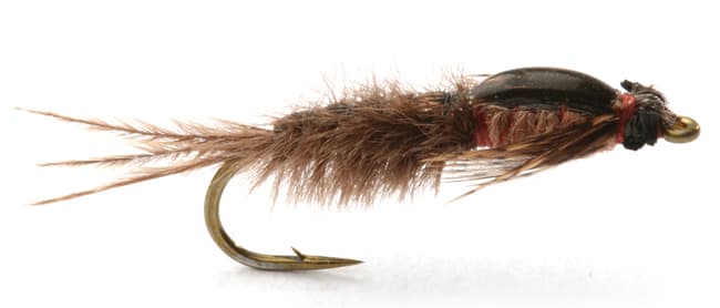 Umpqua Siphlonurus Nymfe