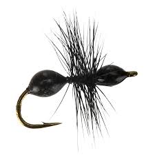 Umpqua Transparant Ant Black/Black