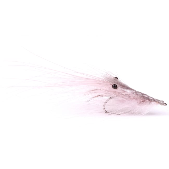 Guideline Pattegrisen Grey